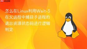 怎么在linux利用wait-s在父进程中捕获子进程的退出资源状态码进行逻辑判定