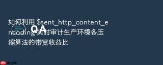 如何利用 $sent_http_content_encoding 实时审计生产环境各压缩算法的带宽收益比