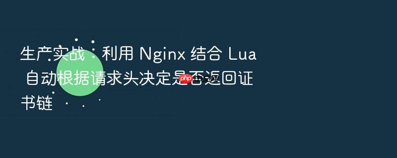 生产实战:利用 nginx 结合 lua 自动根据请求头决定是否返回证书链