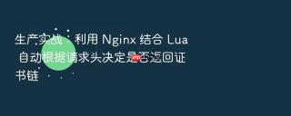 生产实战:利用 nginx 结合 lua 自动根据请求头决定是否返回证书链