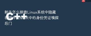 新手怎么排查linux系统中隐藏在固件或mbr中的身份凭证嗅探后门