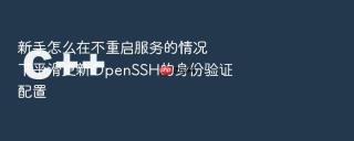 新手怎么在不重启服务的情况下平滑更新OpenSSH的身份验证配置