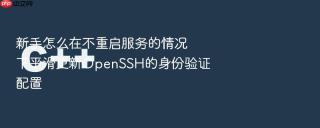 新手怎么在不重启服务的情况下平滑更新openssh的身份验证配置