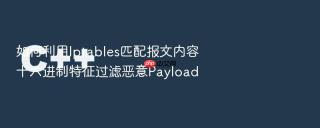 如何利用iptables匹配报文内容十六进制特征过滤恶意payload