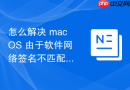 怎么解决 macOS 由于软件网络签名不匹配导致的内测版更新加载报错