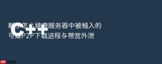 新手怎么排查服务器中被植入的可疑P2P下载进程与带宽外泄