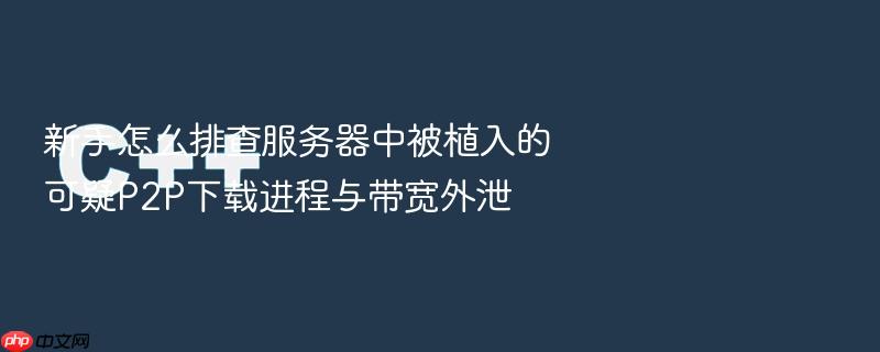 新手怎么排查服务器中被植入的可疑p2p下载进程与带宽外泄