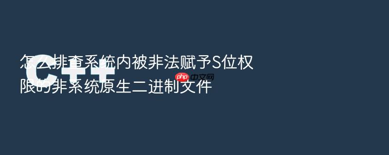 怎么排查系统内被非法赋予s位权限的非系统原生二进制文件