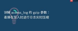 详解 access_log 的 gzip 参数：直接在写入时进行日志实时压缩