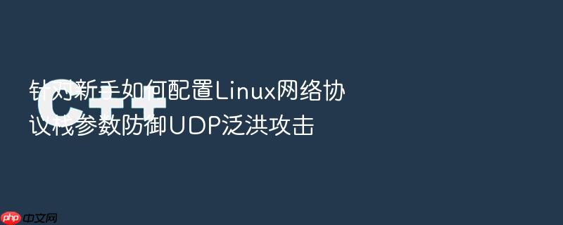 针对新手如何配置linux网络协议栈参数防御udp泛洪攻击