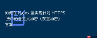 如何在 nginx 层实现针对 https 接口的自定义加密(双重加密)方案