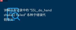 详解日志记录中的 \
