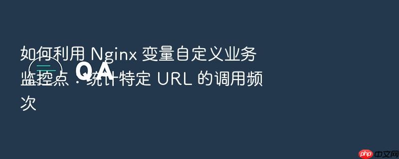 如何利用 nginx 变量自定义业务监控点:统计特定 url 的调用频次
