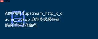 如何利用 $upstream_http_x_cache_lookup 追踪多级缓存链路的详细透传路径
