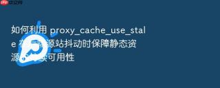 如何利用 proxy_cache_use_stale 在后端源站抖动时保障静态资源的持续可用性