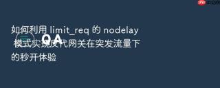 如何利用 limit_req 的 nodelay 模式实现反代网关在突发流量下的秒开体验