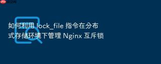 如何利用 lock_file 指令在分布式存储环境下管理 nginx 互斥锁