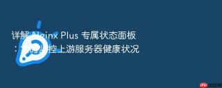详解 nginx plus 专属状态面板:实时监控上游服务器健康状况