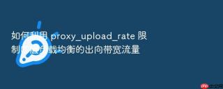 如何利用 proxy_upload_rate 限制四层负载均衡的出向带宽流量