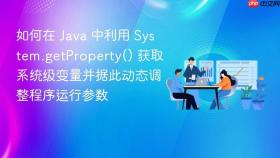 如何在 java 中利用 system.getproperty() 获取系统级变量并据此动态调整程序运行参数