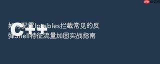 如何配置Iptables拦截常见的反弹Shell特征流量加固实战指南