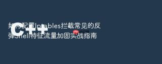 如何配置iptables拦截常见的反弹shell特征流量加固实战指南
