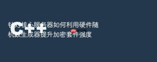 针对核心服务器如何利用硬件随机数生成器提升加密套件强度