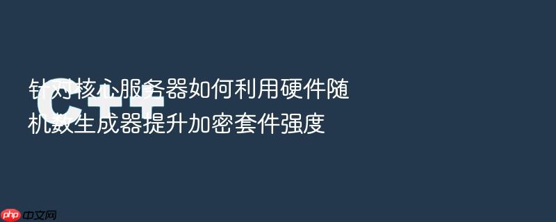针对核心服务器如何利用硬件随机数生成器提升加密套件强度