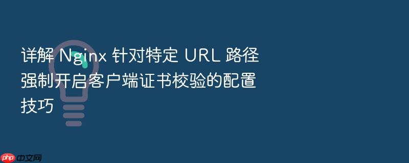 详解 nginx 针对特定 url 路径强制开启客户端证书校验的配置技巧