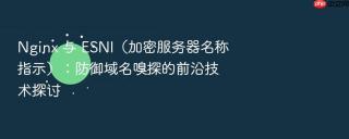 nginx 与 esni（加密服务器名称指示）：防御域名嗅探的前沿技术探讨