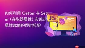 如何利用 getter 与 setter (存取器属性) 实现对属性赋值的即时校验