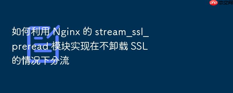 如何利用 nginx 的 stream_ssl_preread 模块实现在不卸载 ssl 的情况下分流