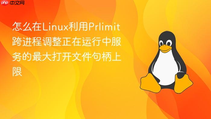怎么在linux利用prlimit跨进程调整正在运行中服务的最大打开文件句柄上限