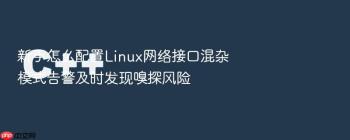 新手怎么配置Linux网络接口混杂模式告警及时发现嗅探风险