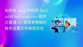 如何在 java 中利用 nosuchfileexception 提供比普通 io 异常更精确的缺失变量文件路径定位