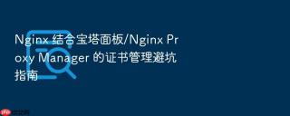 Nginx 结合宝塔面板/Nginx Proxy Manager 的证书管理避坑指南