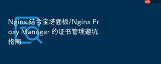 nginx 结合宝塔面板/nginx proxy manager 的证书管理避坑指南