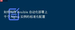 如何利用 ansible 自动化部署上千个 nginx 实例的标准化配置