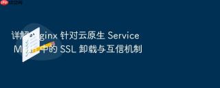 详解 nginx 针对云原生 service mesh 中的 ssl 卸载与互信机制