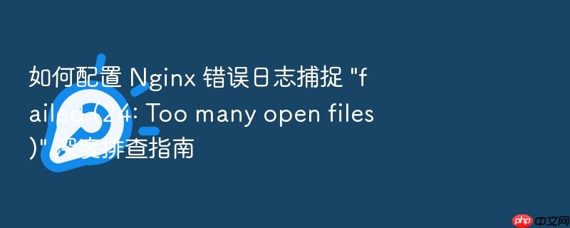 如何配置 nginx 错误日志捕捉 \