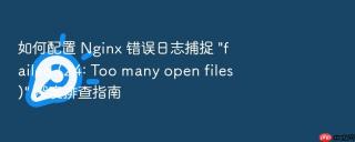如何配置 nginx 错误日志捕捉 \