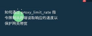 如何通过 proxy_limit_rate 指令限制从后端读取响应的速度以保护网关带宽