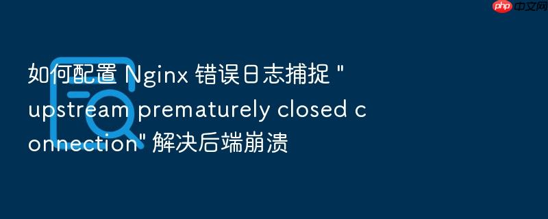 如何配置 nginx 错误日志捕捉 \