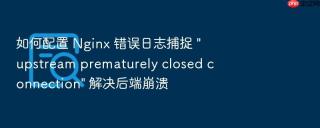 如何配置 nginx 错误日志捕捉 \