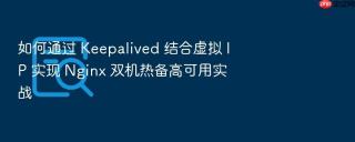 如何通过 keepalived 结合虚拟 ip 实现 nginx 双机热备高可用实战