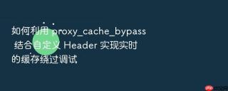 如何利用 proxy_cache_bypass 结合自定义 header 实现实时的缓存绕过调试