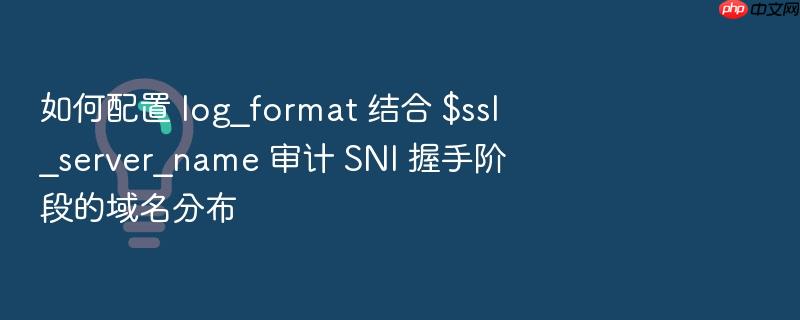 如何配置 log_format 结合 $ssl_server_name 审计 sni 握手阶段的域名分布