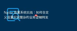 nginx 变量系统实战:如何自定义变量实现复杂的业务逻辑转发