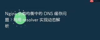 nginx 负载均衡中的 dns 缓存问题:利用 resolver 实现动态解析
