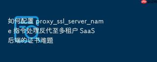 如何配置 proxy_ssl_server_name 指令处理反代至多租户 saas 后端的证书难题